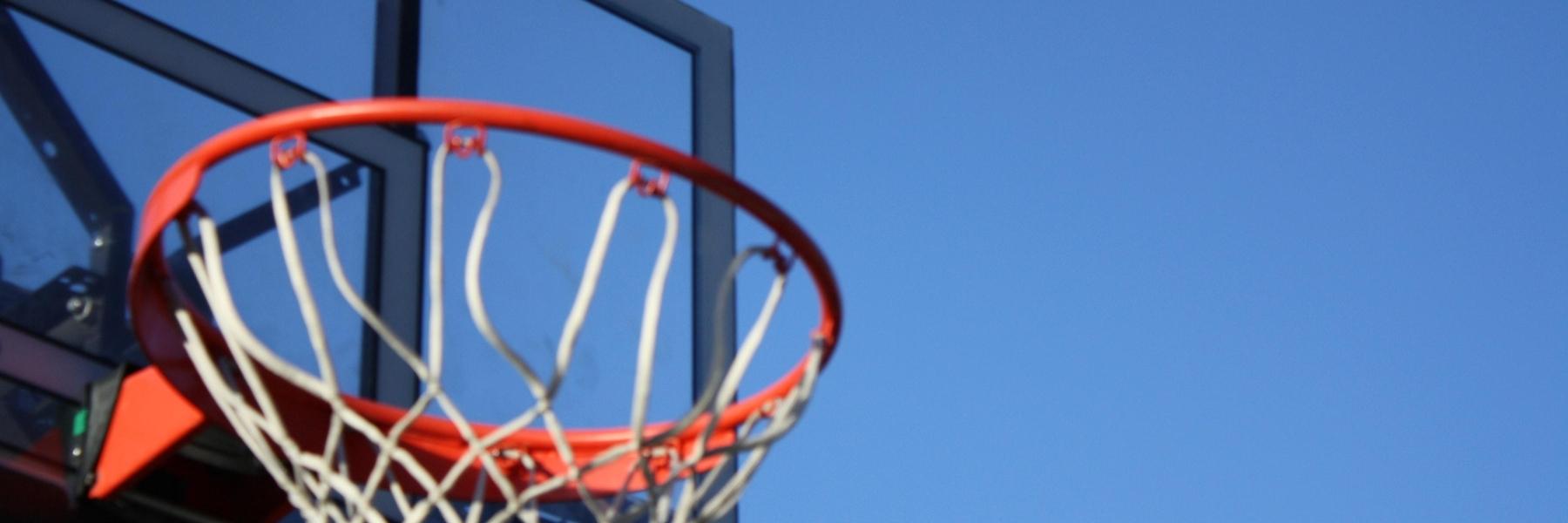 Basketball Hoop | Mouthguards Paddington NSW
